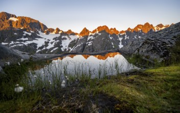Rocky mountain peaks with reflection, small pond with cotton grass in moor landscape at Trollfjord