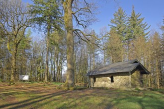 Shelter from the Celtic ring wall, Celtic, forest, Hunnenring, Otzenhausen, Nonnweiler, Hunsrück,
