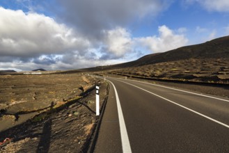 Empty country road through wine-growing area, typical landscape with volcanic mountains, La Geria,
