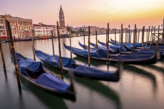 Venetian gondolas, boat dock at the customs office on the Grand Canal, Gondola Traghetto Dogana,