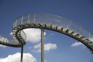 Landmark Tiger & Turtle - Magic Mountain by Heike Mutter and Ulrich Genth, walk-in sculpture in the