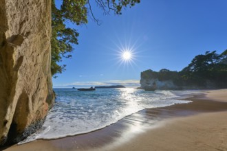 Beach with sunlight and trees in the background, Cathedral Cove, Coromandel, Canterbury, North