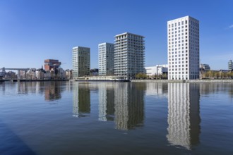 Kattendijkdok, harbour basin, high-rise residential buildings, apartment buildings, old harbour