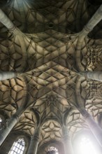 Interior view, Gothic vault, St Michael's Church, Schwäbisch Hall, Old Town, Kocher Valley, Kocher,