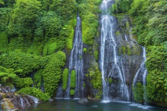 Banyumala twin waterfalls, waterfall, jungle, rainforest, water, nature, botany, holiday, paradise,