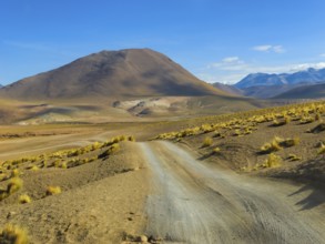Highland landscape, Atacama Desert, Chile, South America