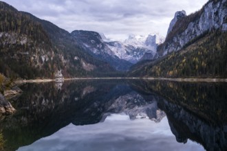 The Vordere Gosausee lake in autumn with a view of the Dachstein mountain range. The Gosaukamm on