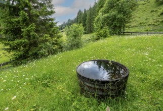 Landscape and nature around Bad Tölz, Bavaria, Germany, Europe