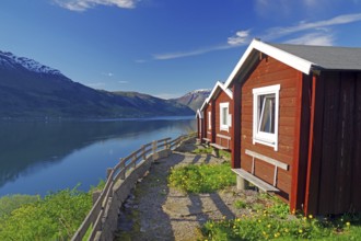 Red wooden cabins on a campsite, view of the fjord and mountains, Hardangerfjord, Fylke Vestland,