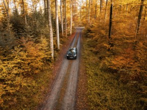 Car driving along a narrow path through a colourful autumnal forest, electric car, VW ID5,