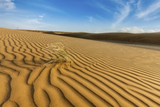 Dunes of Thar Desert. Sam Sand dunes, Rajasthan, India, Asia