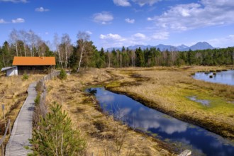 Nature discovery trail, wet moorland, peat extraction, Nicklheimer Filzen, Nickelheim, Upper