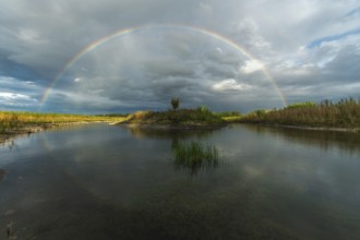 Large double rainbow after a spring storm. Bas-Rhin, Alsace, Grand Est, France, Europe