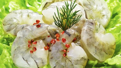 Some raw shrimps, prawns, decorated on lettuce leaves with dill and Pink Pepper berries, red