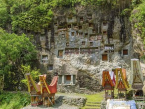 Rock tombs in Tana Toraja, Kete Kesu, Rantepao, Sulawesi, Indonesia, Asia