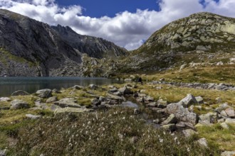 Lake Sassolo, Lago di Sassolo, behind Ticino mountains, Sambuco valley, Vale Sambuco, near Fusio,