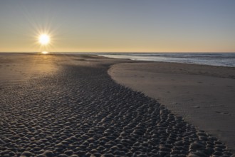 Wadden Sea, Amrum, Schleswig-Holstein, Germany, Europe