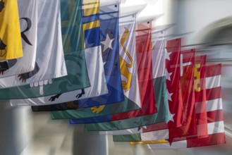 Symbolic photo of cantonal flags, Switzerland, Europe
