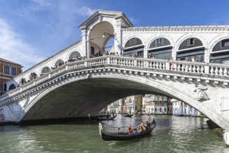 Venetian gondola with gondolier travelling on the Grand Canal, Rialto Bridge, Venice, Venice,