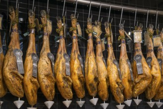 Reihe von traditionell aufgehängten Schinken in einem Delikatessengeschäft, Mercado da Ribeira,