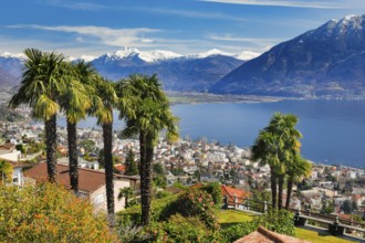 View over the city of Locarno and Lake Maggiore with snow-capped mountains in the background,