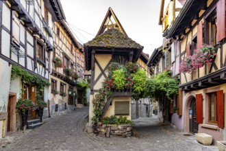 Half-timbered houses in Eguisheim, Alsace, France, Europe