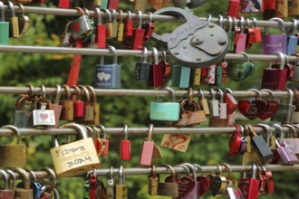 Bars with love locks, many, series, row, number, quantity, metal, symbol, heart-shaped, love,