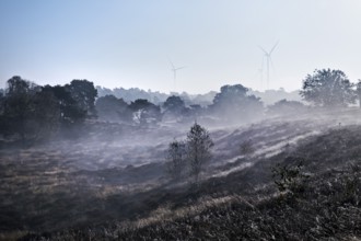 Landscape with wind turbines in the morning glow in autumn, Westruper Heide, Haltern am See, Ruhr