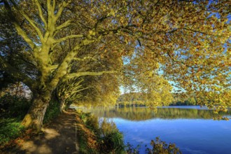 Essen, North Rhine-Westphalia, Germany - Golden autumn on Lake Baldeney