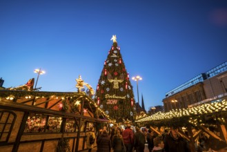 The largest Christmas tree at the Dortmund Christmas market at dusk, Dortmund, North