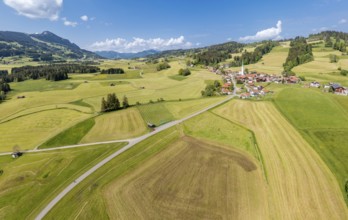 Aerial view over fields and meadows to village Vorderburg, agricultural area in spring, Allgäu,