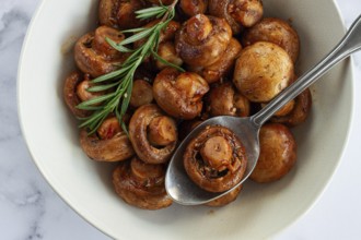 Fried mushrooms, with spices, in soy sauce, vegetarian food, homemade, no people