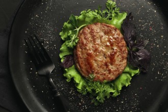 Fried beef patties, top view, no people