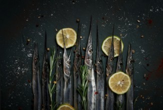 Fresh, Black Sea fish. raw, sargan, sea pike, top view, no people