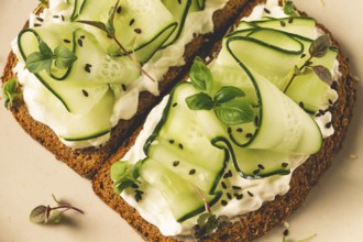 Breakfast, cereal bread sandwiches, cream cheese, sliced cucumber, with micro greenery on a light