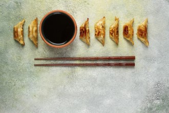 Japanese fried dumplings, gyoza, sesame seeds, top view, no people