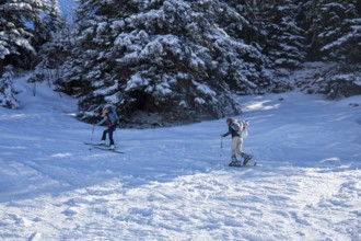 Oberjoch, Bavaria: Ski tourers on the ascent. Ski touring is becoming increasingly popular
