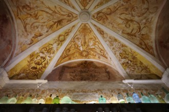 Interior view, ceiling of the monastery pharmacy of the Charterhouse, Iglesia de la Cartuja, Real