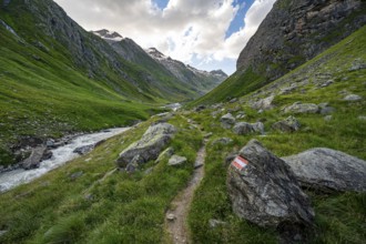 Hiking trail in the Umbaltal valley with Isel mountain stream, glaciated mountain peaks behind,