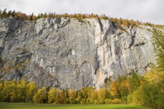Gößler Wand in autumn. It is a rockwall of 180 m height between the lakes Toplitzsee and Grundlsee.