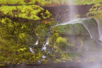 Waterfall Seljalandsfoss, 60 m high, located in southern iceland