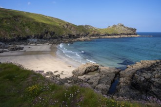 Coastal landscape. View of Treen Cove with its sandy beach and the headland of Gurnard's Head. In