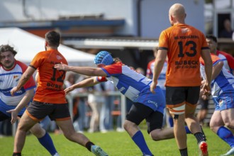 Rugby 1st Bundesliga South/West, Season 2024/25, Matchday 10: RG Heidelberg vs Heidelberger