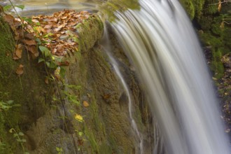 Close-up of a small waterfall with autumn leaves and moss on rocks, Weiler, Bavaria, Germany,