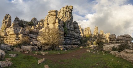 Bizarre limestone rock formations, El Torcal nature reserve, Torcal de Antequera, Malaga province,