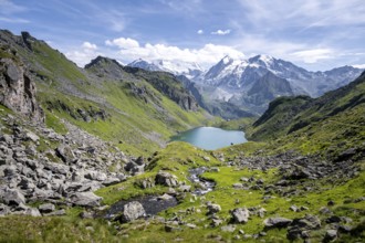 Mountain stream and mountain lake Lac de Louvie with glaciated summit of the Grand Combin, Val de