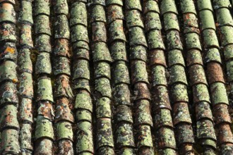 Close-up view of terracotta roof tiles showcasing unique textures and colors. The surface exhibits
