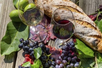 Symbolic image of grape grape harvest: Ripe grapes decorated with wine glasses on a wooden table
