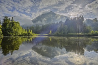 Sunrise, marsh pond, near Oberstdorf, Allgäu, Bavaria, Germany, Europe