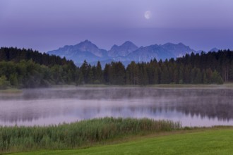 Foggy lake at dawn with visible mountains and forests, quiet atmosphere, Hegratsrieder See near